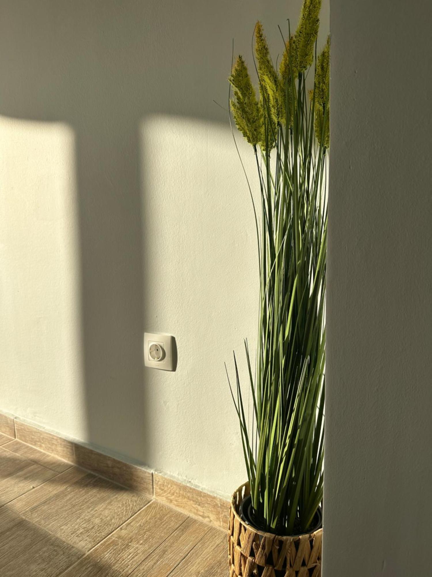 Glyfada Sunset Seaview Cozy Apartment A Athens Exterior photo